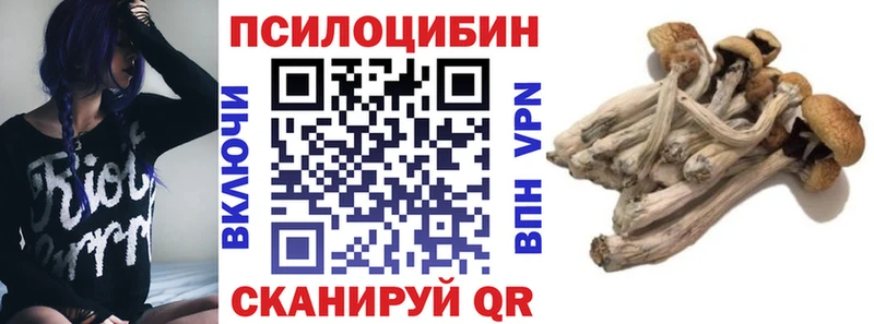 цена   Харовск  MEGA как войти  Галлюциногенные грибы Psilocybine cubensis 